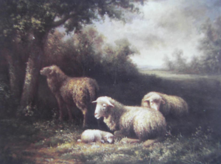 Animal Oil Painting