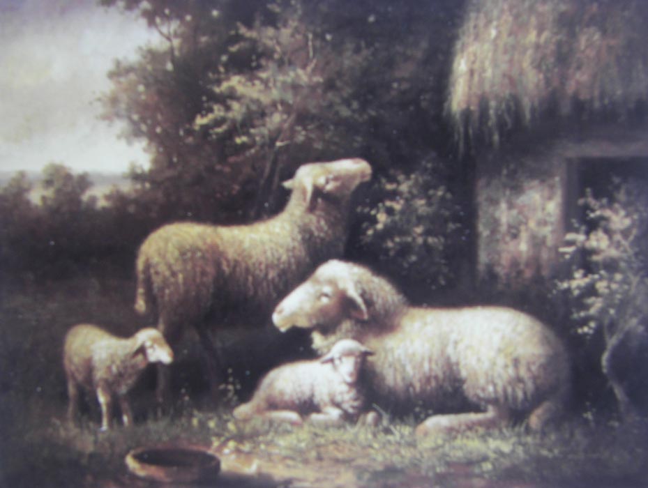 Animal Oil Painting