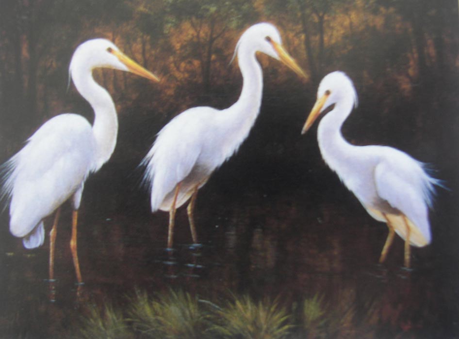 Animal Oil Painting