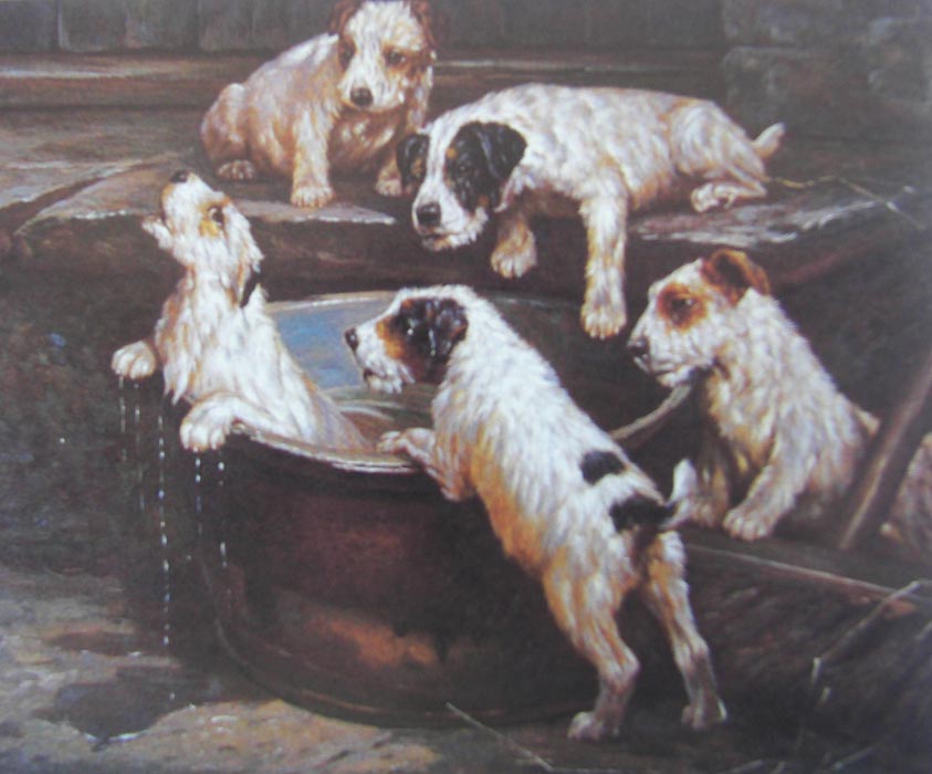 Animal Oil Painting