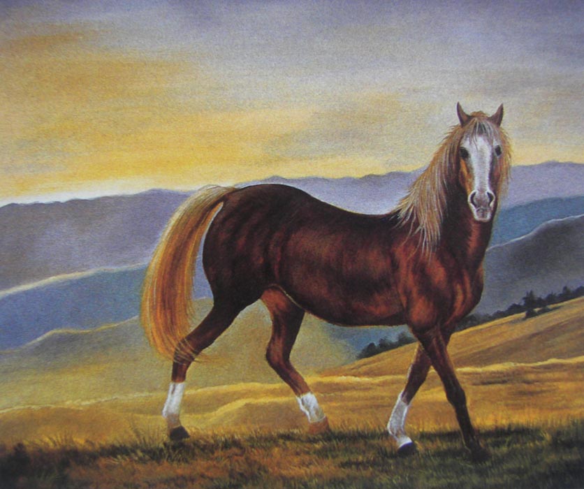 Animal Oil Painting