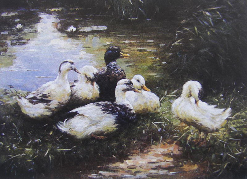 Animal Oil Painting