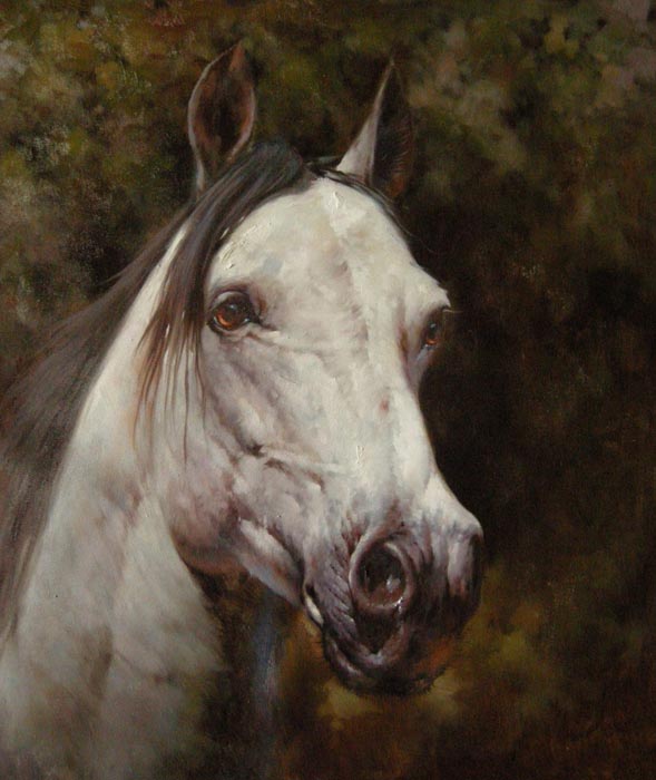 Horse Oil Painting