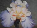 Flower Oil Painting