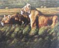 Animal Oil Painting