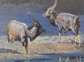 Animal Oil Painting