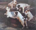 Animal Oil Painting