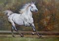 Horse Oil Painting